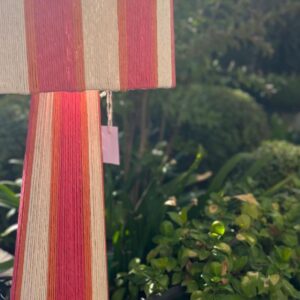 Rosa palo- crema – naranjo – vista 2